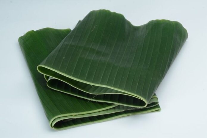 Tips Simpan Daun Pisang agar Tidak Cepat Kuning