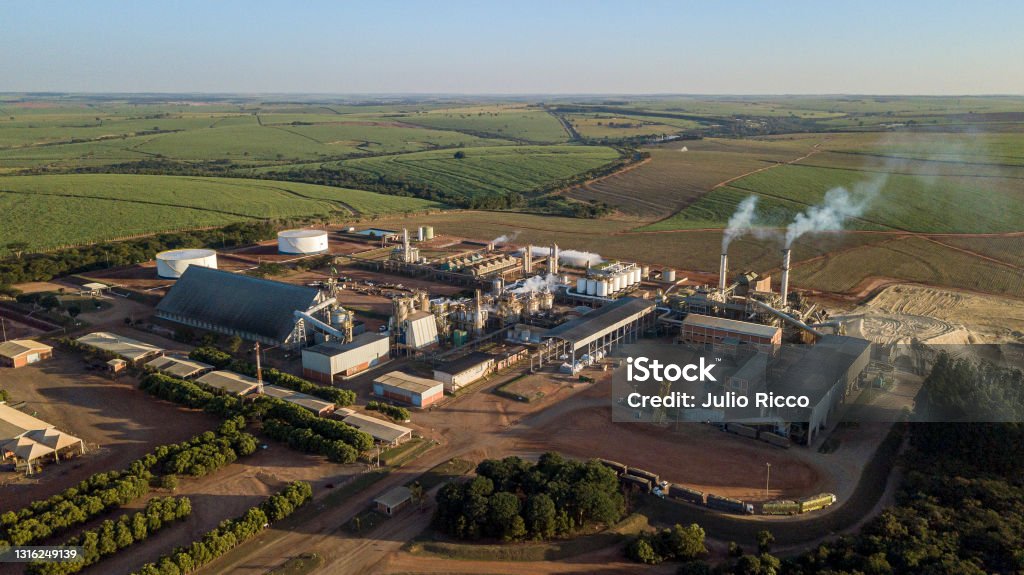 Biogasoline Sawit dan Bio-ethanol Sorgum dari NTT